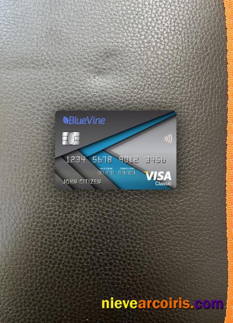 USA California BlueVine bank visa classic card photolook